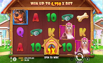 Der Slot The Dog House