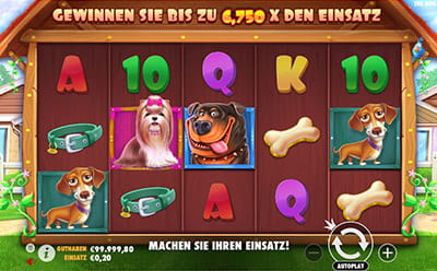 Der tierische Slot The Dog House